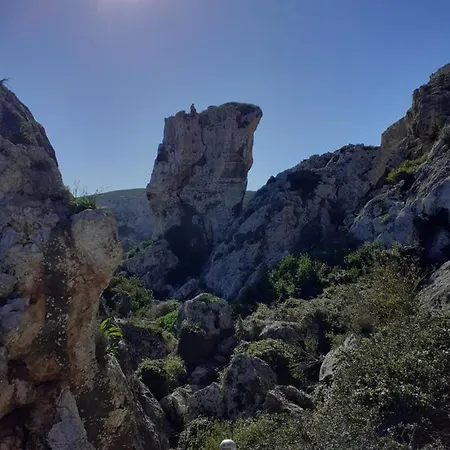 Trigoria בית אירוח