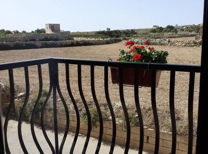 Trigoria Проживание в семье