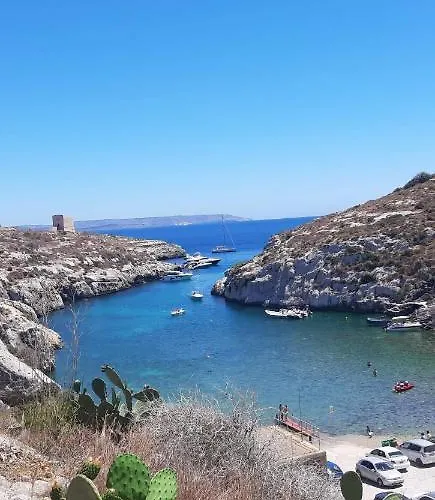 Trigoria ホームステイ *