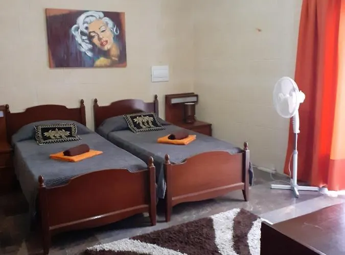 Проживание в семье Trigoria